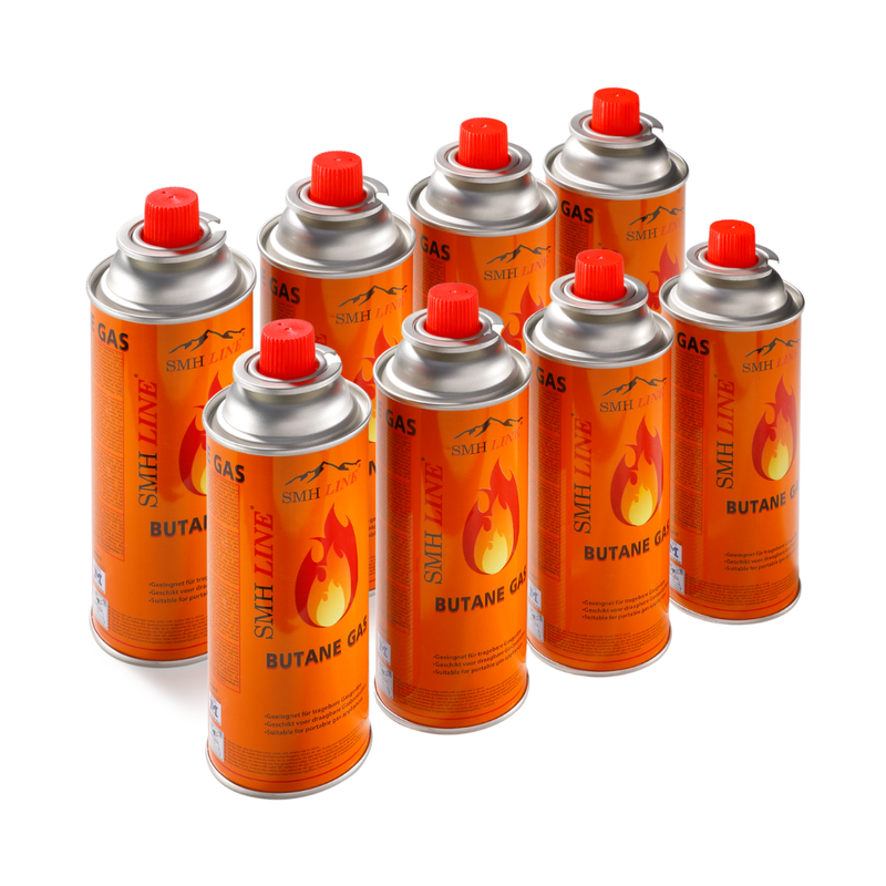 Buses à gaz supplémentaires (lot de 8)